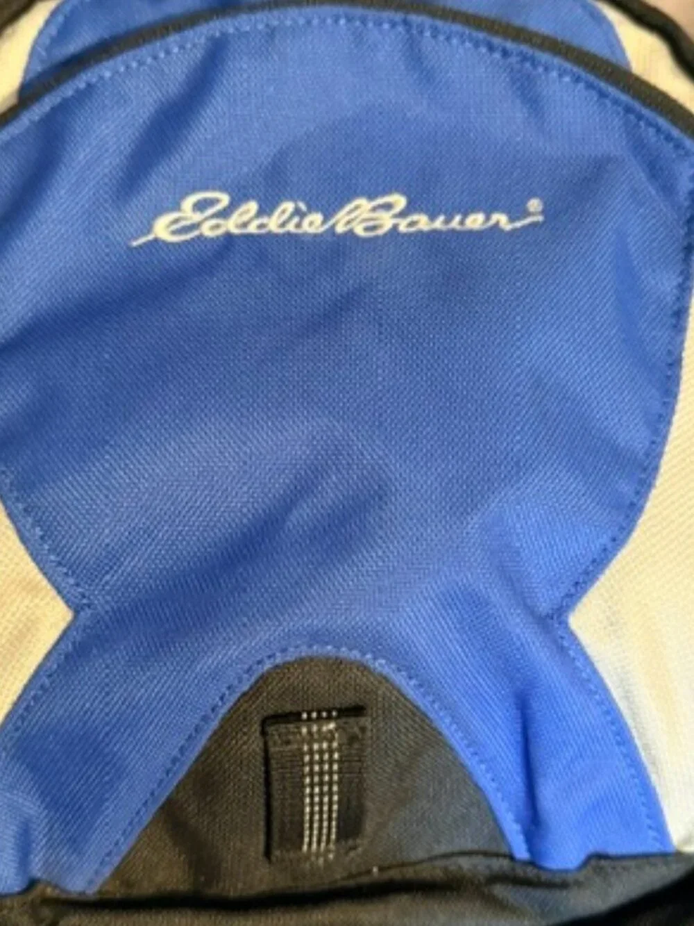 Eddie Bauer mini backpack